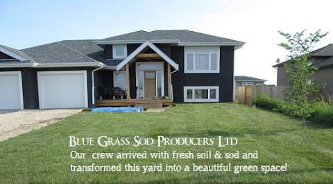 Blue Grass Sod Producers Ltd